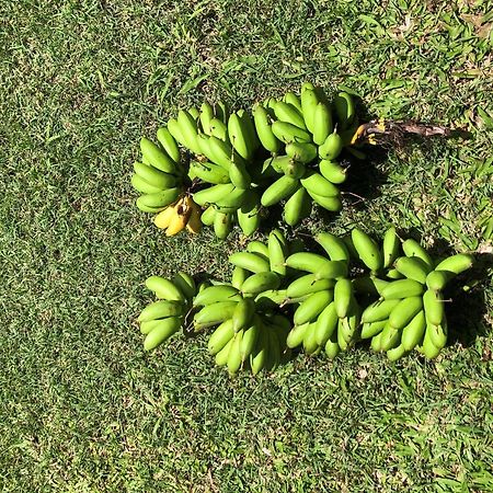 Ti Citron Villa Petit-Bourg Luaran gambar
