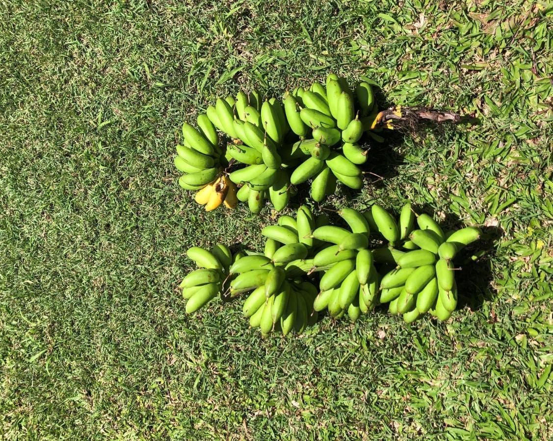 Ti Citron Villa Petit-Bourg Luaran gambar